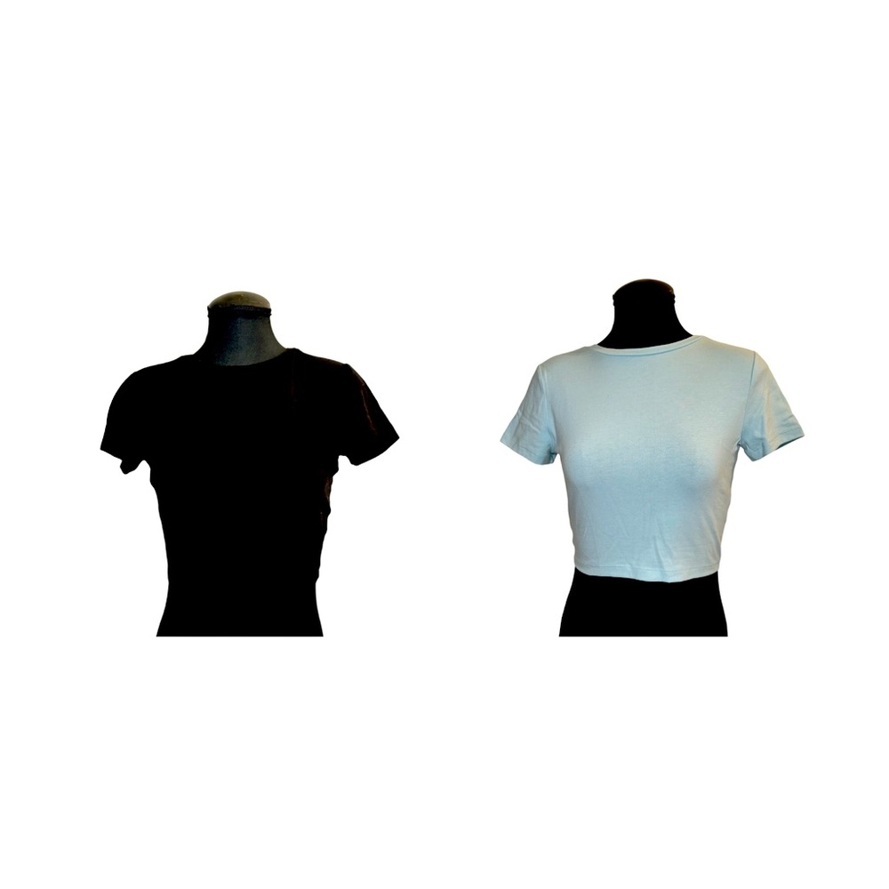 Set (2) Wild Fable Cropped Tees